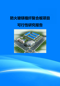 防火玻镁植纤复合板项目可行性研究报告(目录)