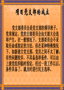 项目党支部成立支部大会中心组学习
