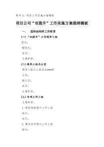 项目公司实施方案模板