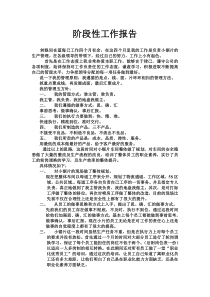 阶段性工作报告