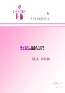 项城唯依婚庆礼仪法式主题婚礼策划案