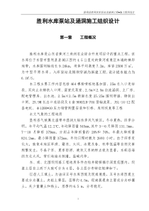 泵站及涵洞施工组织设计方案2