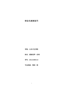 预防医学---大学生职业生涯规划书