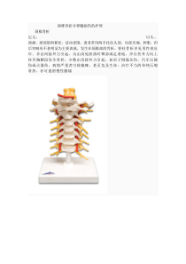 颈椎骨折并脊髓损伤的护理颈椎骨折