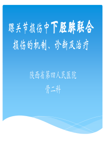 踝关节损失中下胫腓联合损伤的机制诊断及治疗