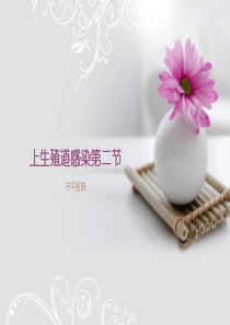 输卵管炎盆腔炎及生殖器结核