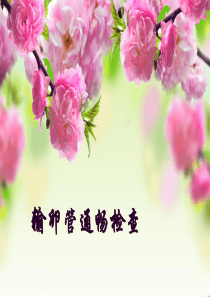 输卵管通液术2015331