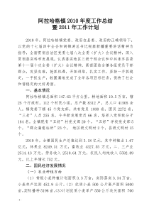 阿拉哈格镇2010年度工作总结暨2011年工作计划