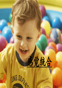 感觉统合ppt