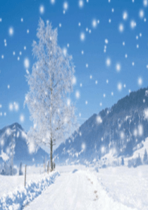 部编版课件《雪地里的小画家》ppt课件9