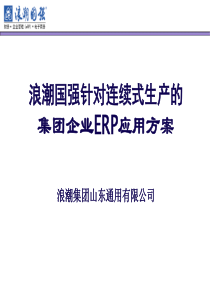 集团企业ERP解决方案（PPT79页）