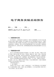 电子商务实验总结报告
