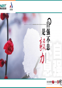 通信与网络集成.