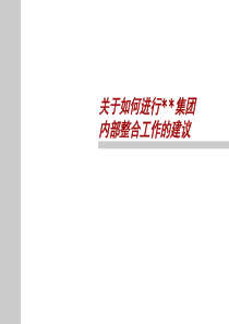 集团整合的建议