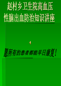 赵村乡卫生院高血压性脑出血防治知识讲座