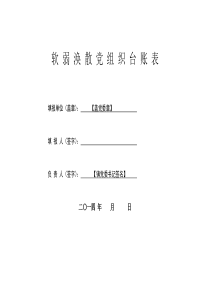 软弱涣散党组织台账表(空白表)