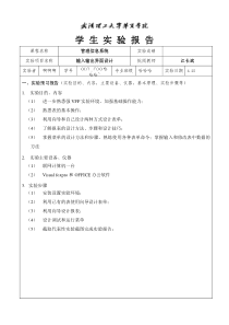 输入输出界面设计报告