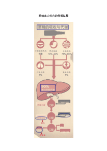 酒精在人体内的代谢过程