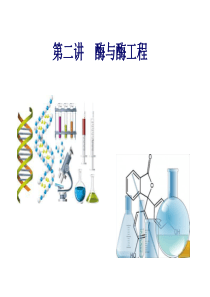 酶与蛋白质工程第2章酶与酶工程.