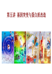 酶与蛋白质工程第5章基因突变与蛋白质改造.