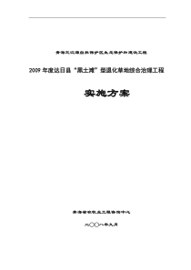 达日县“黑土滩”综合治理工程实施方案