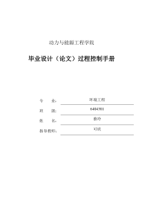 过程控制手册