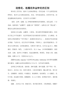 迎春花金钟花和连翘花的区别