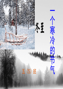 冬至主题班会