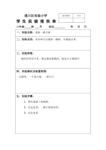 通川区实验小学三年级上册分组实验报告单