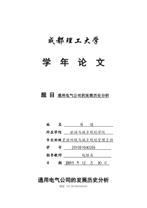 通用电气公司的发展历史分析