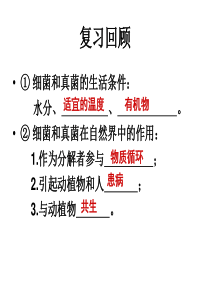 讲课人类对细菌和真菌的利用