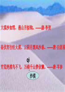 通许县哈佛学校多媒体教学课件22在沙漠中心