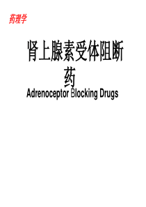 药理学-肾上腺素受体阻断药.
