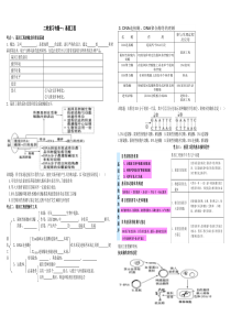 选修3专题1基因工程复习学案MicrosoftWord文档(4)