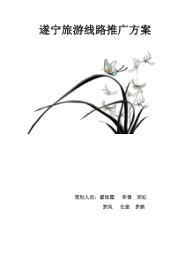遂宁旅游线路推广方案