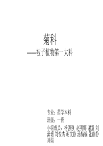 药用植物学菊科