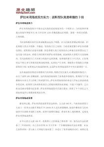 萨拉米湾海战双方实力