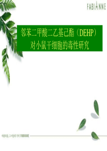 邻苯二甲酸二乙基己酯DEHP对小鼠干细胞的毒性研究