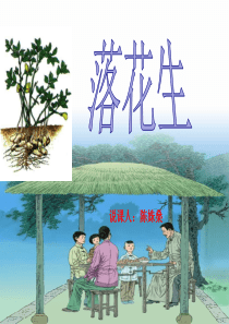 落花生说课稿ppt