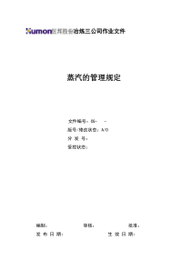 蒸汽管理规定