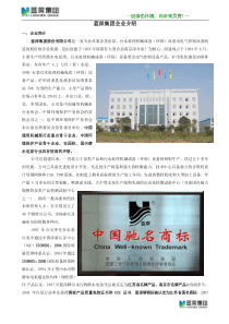 蓝深集团企业简介