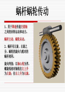 蜗轮蜗杆轮系.