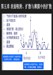 表面吸附扩散与薄膜中的扩散