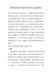 调控DNA损伤修复的miRNA