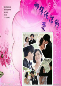谢娜张杰的爱情.