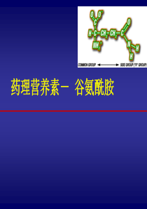 谷氨酰胺_课件.