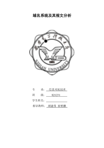 西电_胡建伟_大作业_域名系统及其报文分析