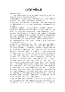 西瓜的种植过程