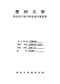 贵州大学毕业生产实习鉴定表