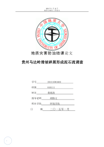 贵州都匀马达岭泥石流调查